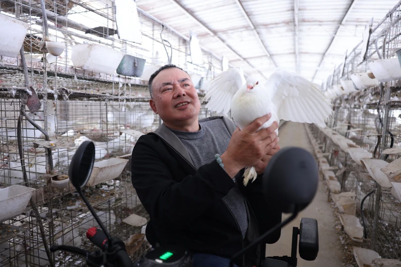 新農領頭人潘光偉:“鴿司令”以殘助殘,致富鴿業養殖場占地50畝,年出欄鴿子80萬羽,產值達到2000萬元以上(圖1) 微信圖片_20250523110212.jpg